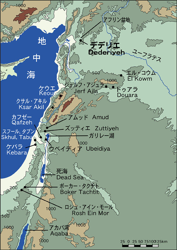 Amazon.co.jp: 人類発祥の地にいま生きる人々: アフリカ大地溝帯