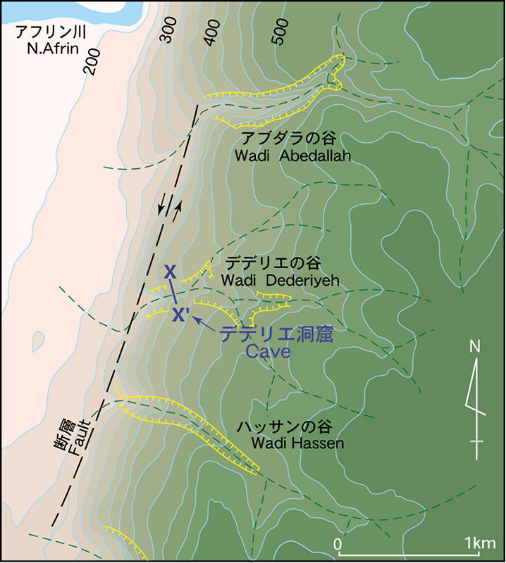 the Dederiyeh Neanderthal