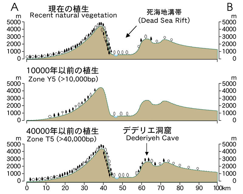 人類発祥の地にいま生きる人々 : アフリカ大地溝帯エチオピア南