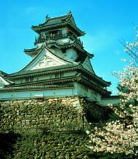 picture of Kochi Castle
