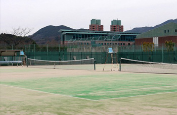 Tennis court