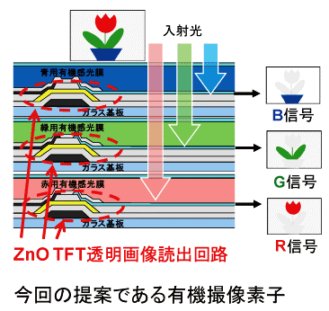アップロードファイル 24KB