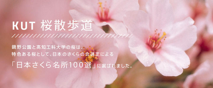 sakura_top-01.jpg