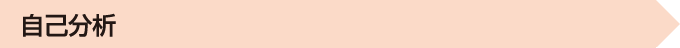 自己分析