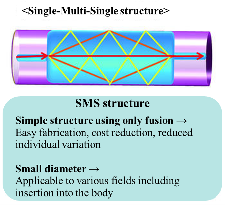 Single-Multi-Single structure.png