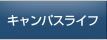 LpXCt