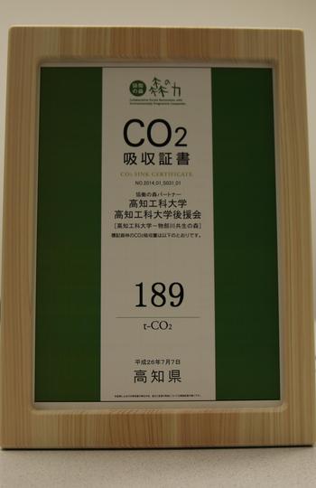 co2.jpg