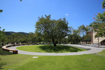 ★2S1A8506.JPG