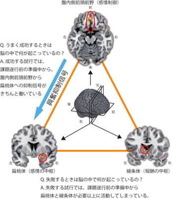 PR_Fig3_菫ｮ謨ｴ-1.jpg