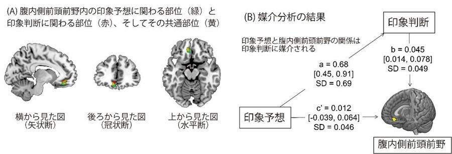 図3_脳データの解析結果.jpgのサムネイル画像