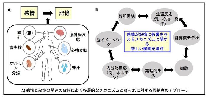 感情と記憶の関連の背後にある多層的なメカニム.jpg