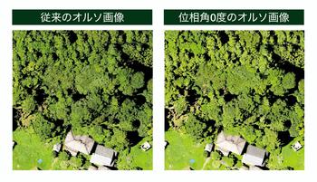 林2.jpg