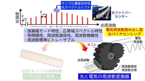 研究概要.jpg