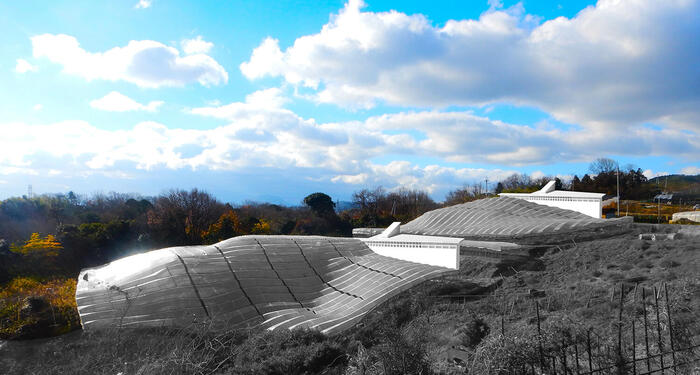 1.overall view of passive houses with greenhouses.jpg