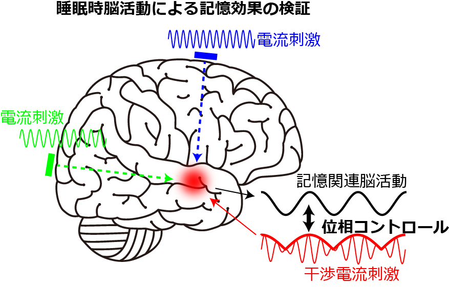 Fig.png
