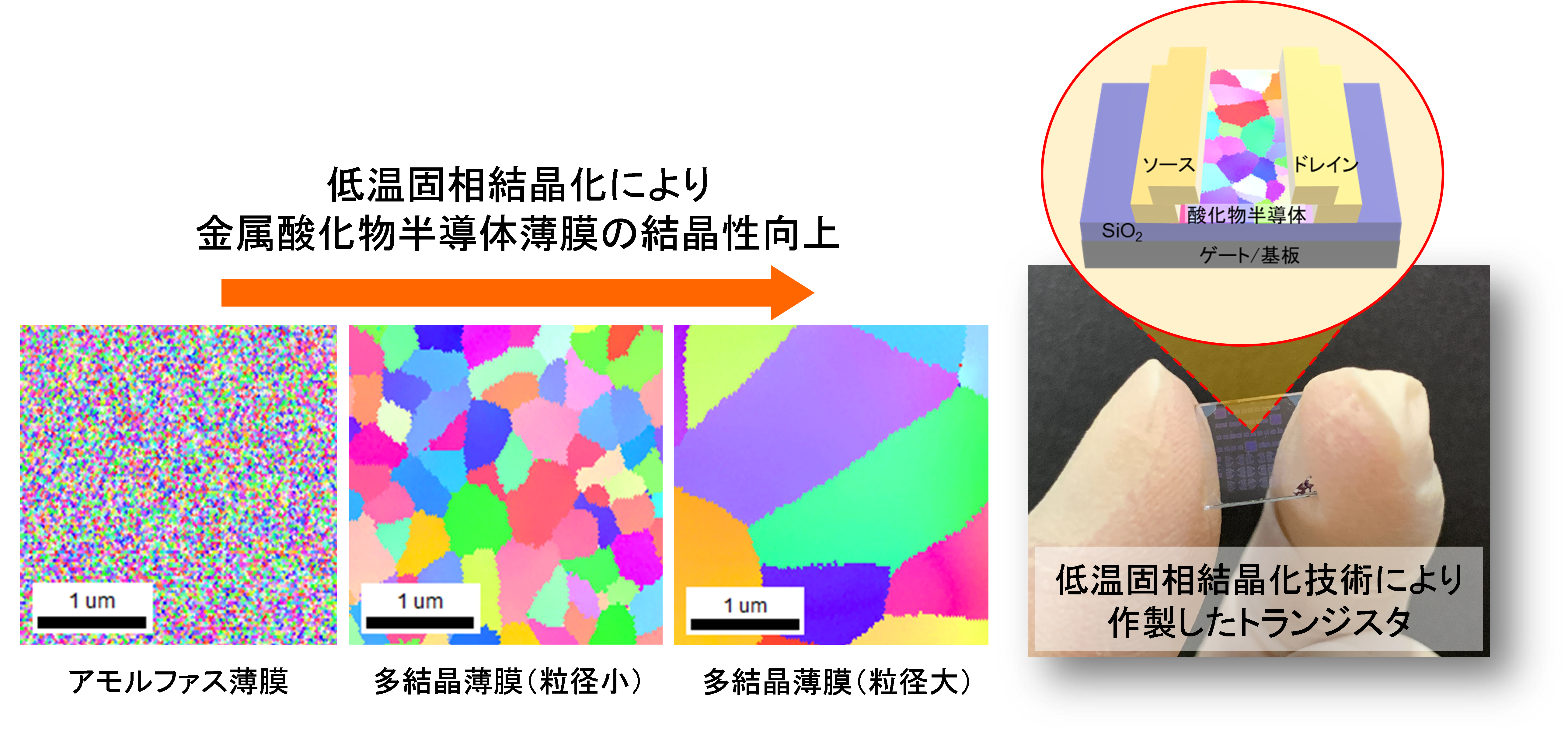曲先生　図.png