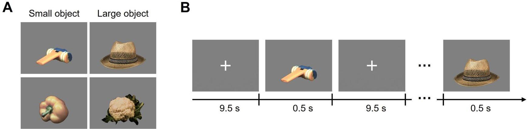 論文 s41598-026-74629-7_reference.jpeg