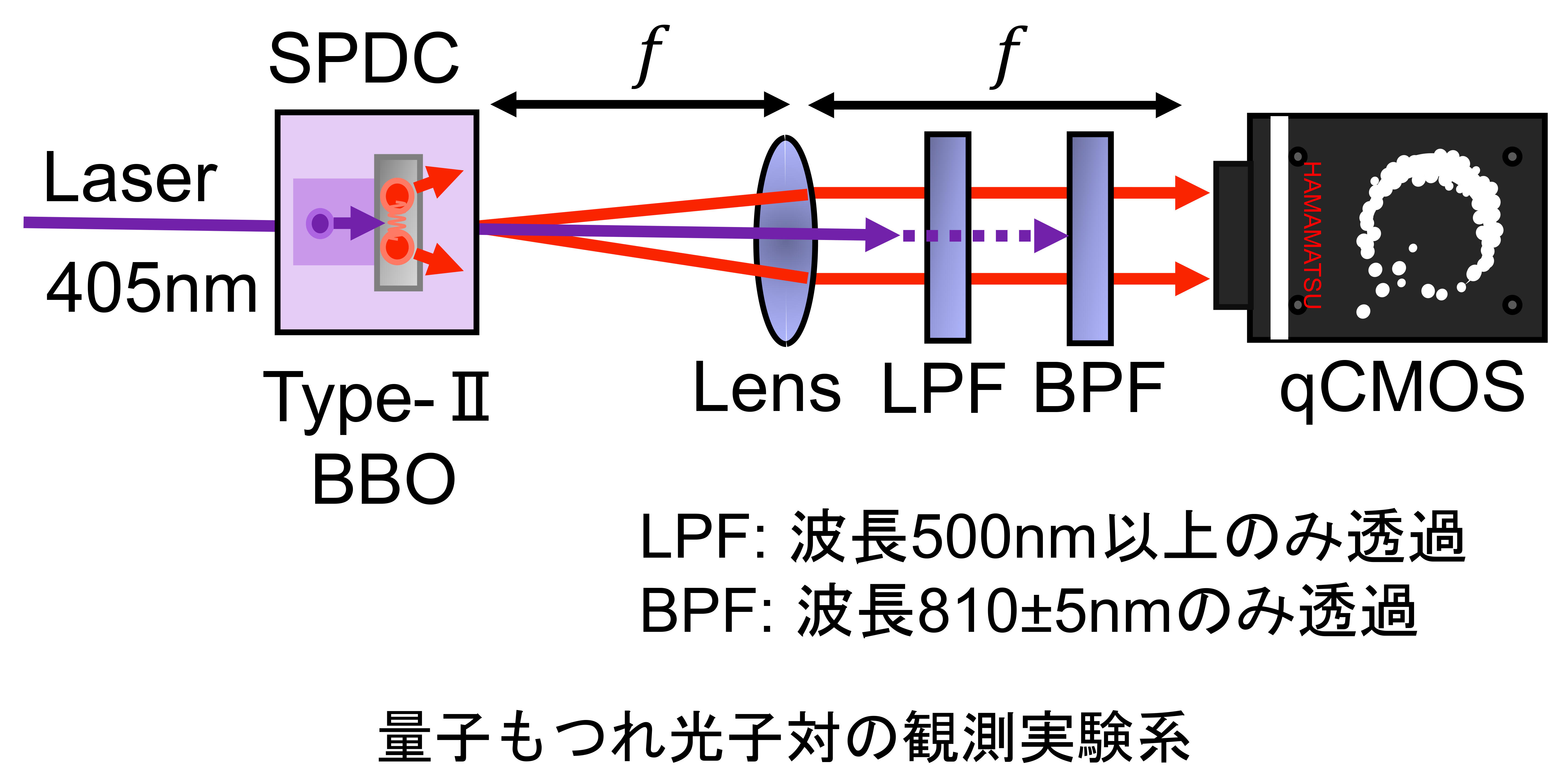 ポスター発表_実験系2.jpg