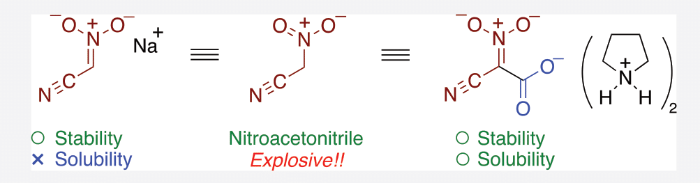 https://www.kochi-tech.ac.jp/news/img/acs.joc.1c01515-1.png