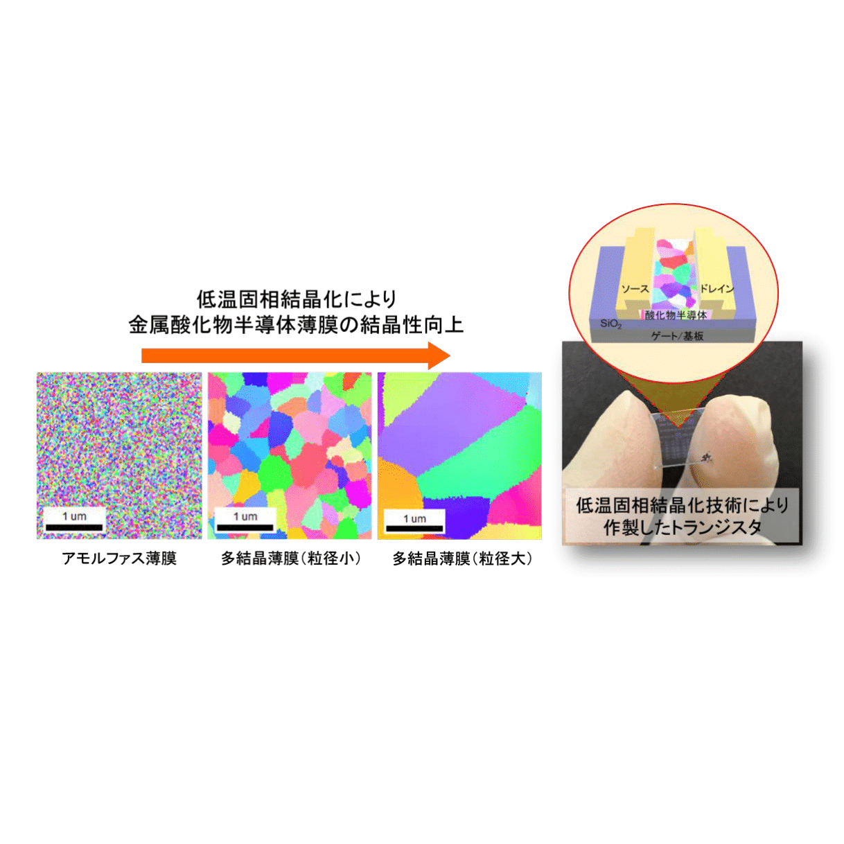 化合物半導体の結晶成長と評価〈その3〉 （半導体研究）（単行本） 31eZv323BzL.jpg_BO30,255,255,