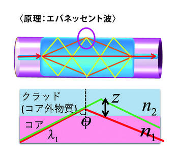 田上先生_図式1.jpg