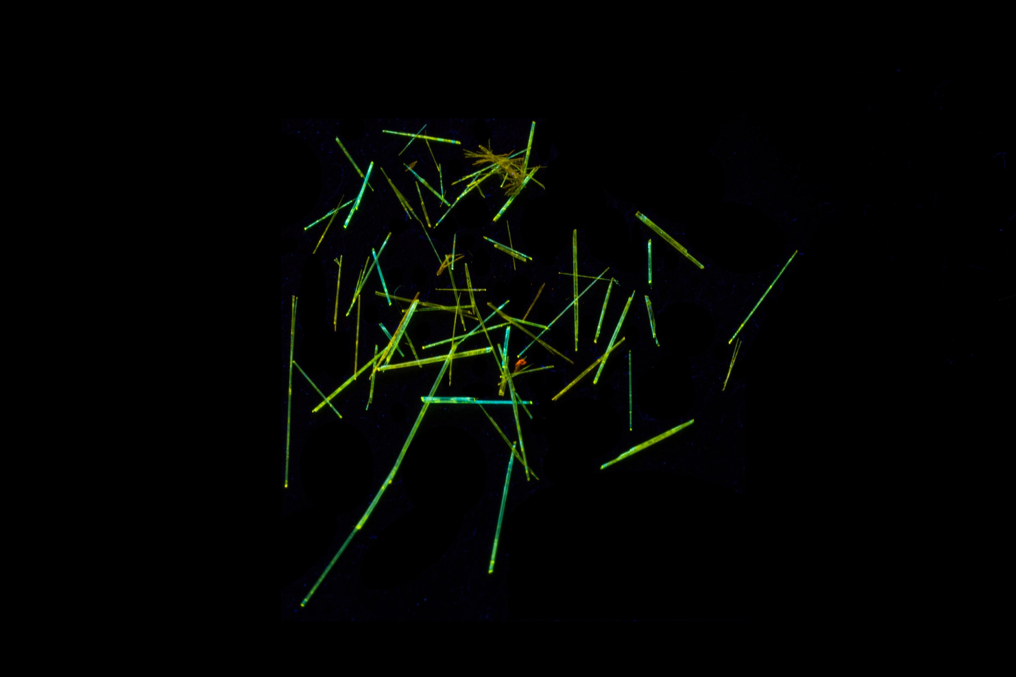 ★結晶3web.jpg