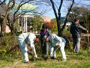 open03.jpg