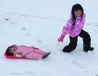 PXL_20250202_062038686_exported_0.jpg